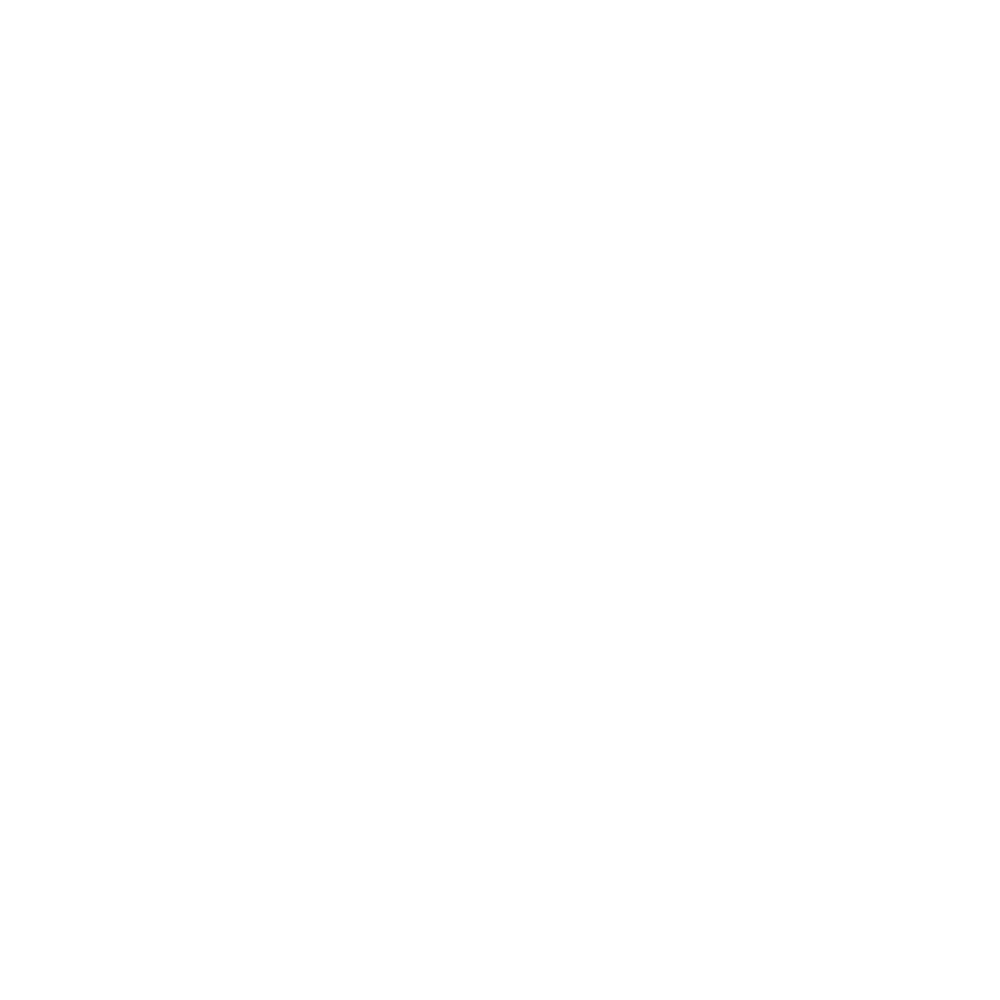 Animated Logo