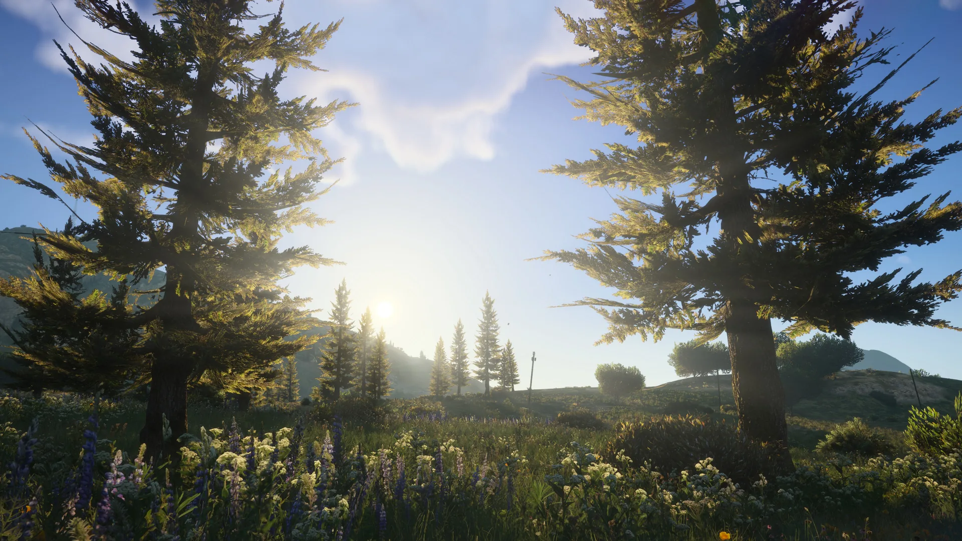 CoreFX Screenshot